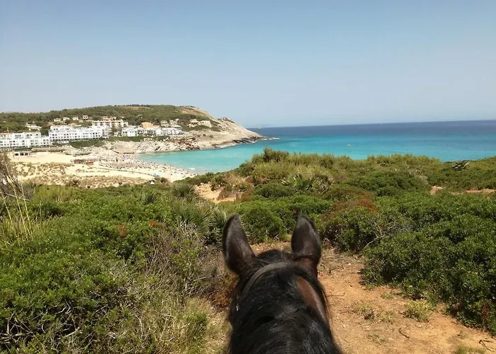 Rosamar Holidays Lägenhet Cala Ratjada (Mallorca)