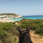 Rosamar Holidays شقة كالا راتخاذا